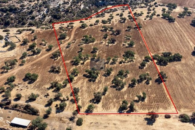 Land for sale in Kouklia, Cyprus