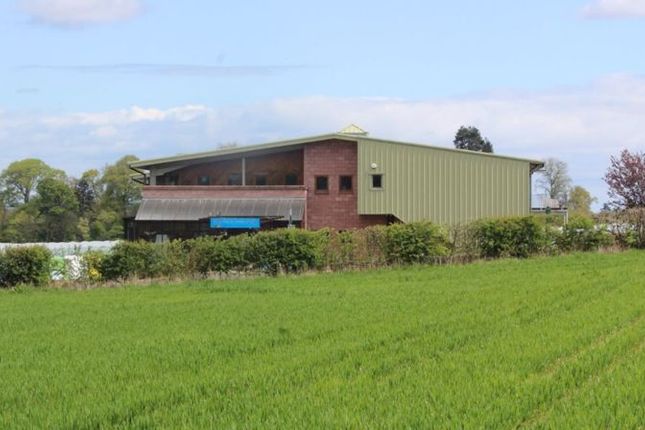 Thumbnail Property for sale in Newburgh, Cupar