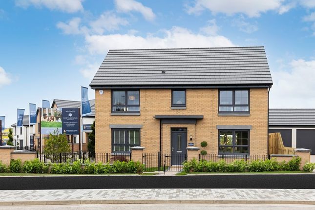 Thumbnail Detached house for sale in "Brechin" at Gairnhill, Aberdeen