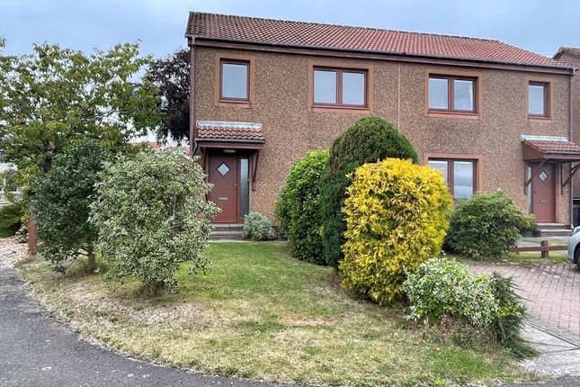 Semi-detached house to rent in Wilson's Place, Strathkinness, Fife KY16
