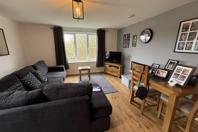 13A,, Rhodfa'r Ceffyl, Kidwelly photo 5