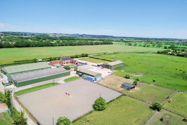 Chesney Farm Stables, Wansford Road, Driffield photo 4