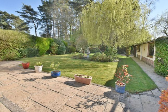 73, Forest View Drive, Wimborne photo 2