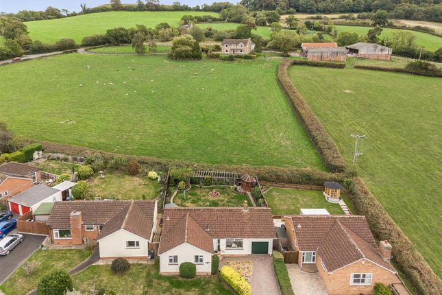 17, Oak View, Honiton photo 2