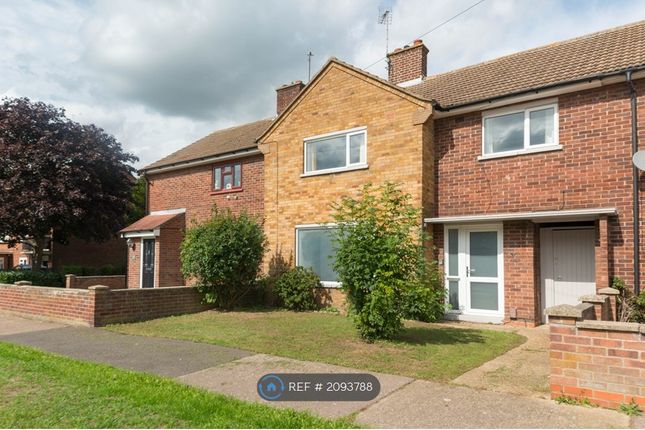 Thumbnail Terraced house to rent in Hickory Avenue, Colchester