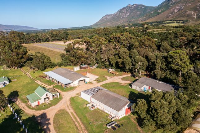 Farmhouse for sale in Ertjiesvlei, Hemel En Aarde Valley, Caledon Rpad, Hermanus, Cape Town, Western Cape, South Africa