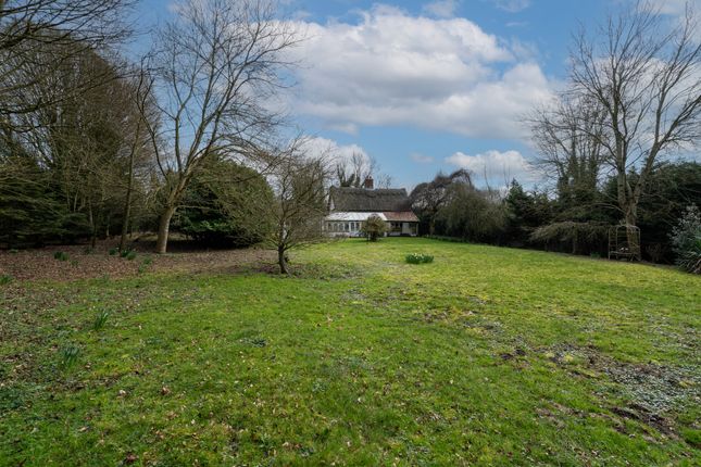 Thatch Cottage, Puddledock, Attleborough photo 3