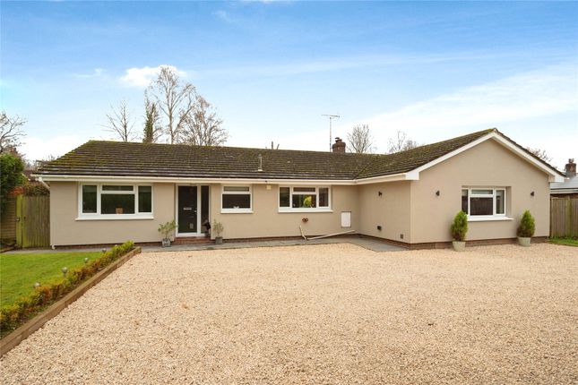 Thumbnail Bungalow for sale in High Street, Blackboys, Uckfield, East Sussex