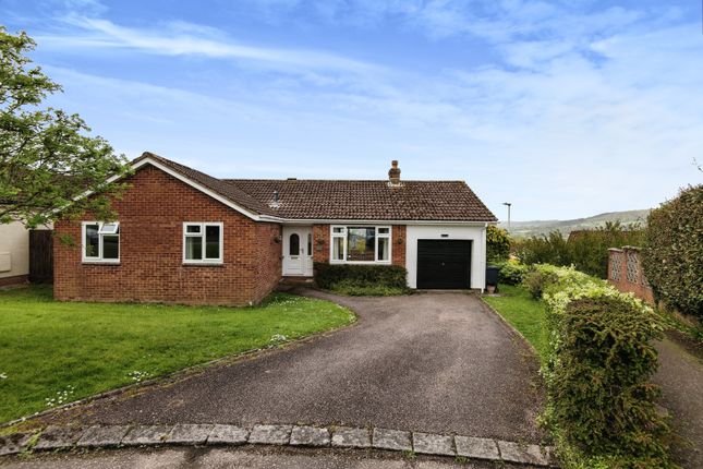 Detached bungalow for sale in Oak View, Honiton