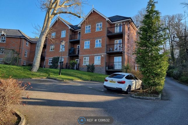 2 bed flat to rent in Caldicott Court, Hitchin SG4