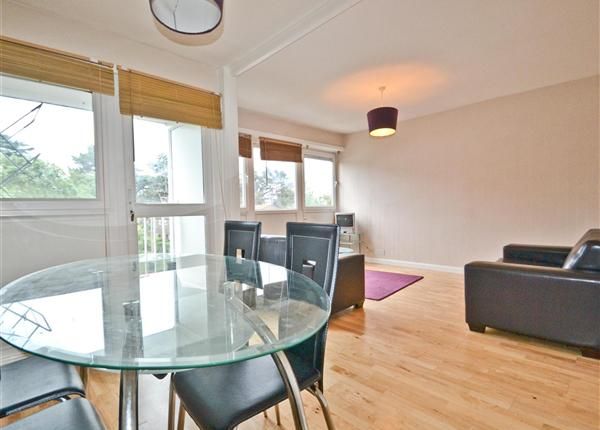98, Arabella Drive, Putney photo 4