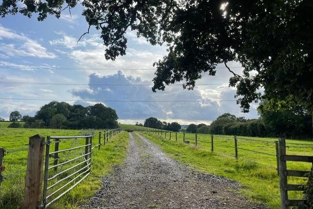 Equestrian property for sale in Peterston-Super-Ely, Cardiff