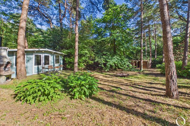 25, Ashwood Drive, Broadstone photo 4