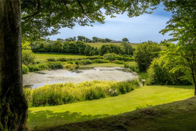 Detached house for sale in St. Clether, Launceston, Cornwall