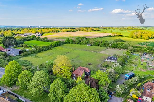 Thumbnail Equestrian property for sale in Epping Green, Epping