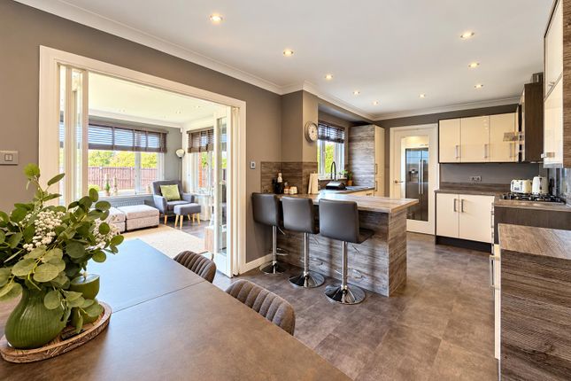 9, Poplar Crescent, Hamilton photo 4