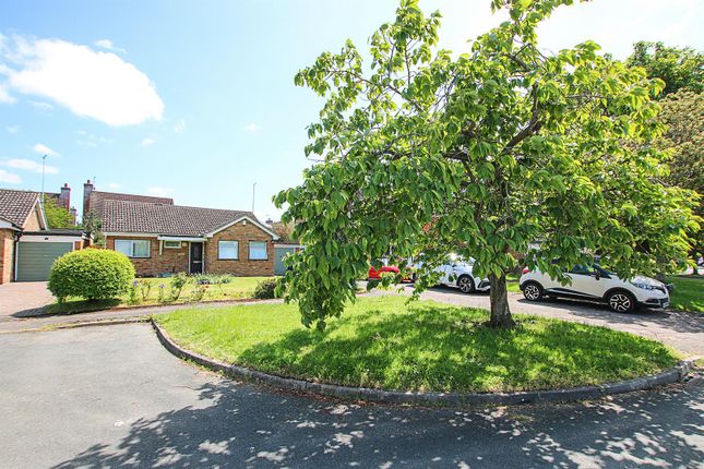 Detached bungalow for sale in Beechwood Close, Exning, Newmarket