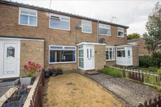 Thumbnail Terraced house to rent in Kirkbride Place, Eastfield Dale, Cramlington