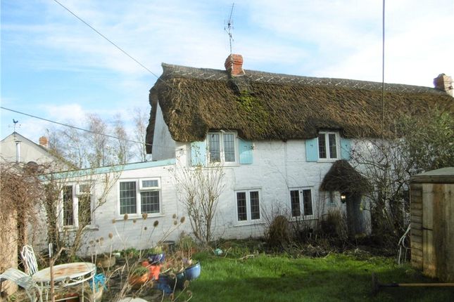 Homes To Let In Bridport Rent Property In Bridport Primelocation