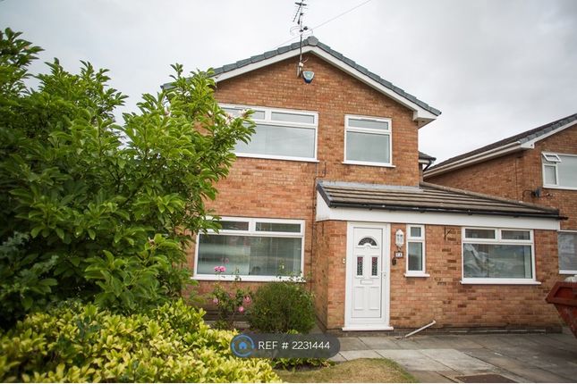 Thumbnail Detached house to rent in Magnolia Close, Warrington