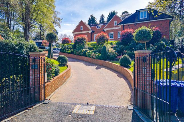 Derryville, Burleigh Lane, Ascot photo 4
