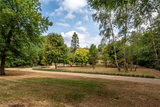 Broome,, Farnham Road, Farnham photo 4