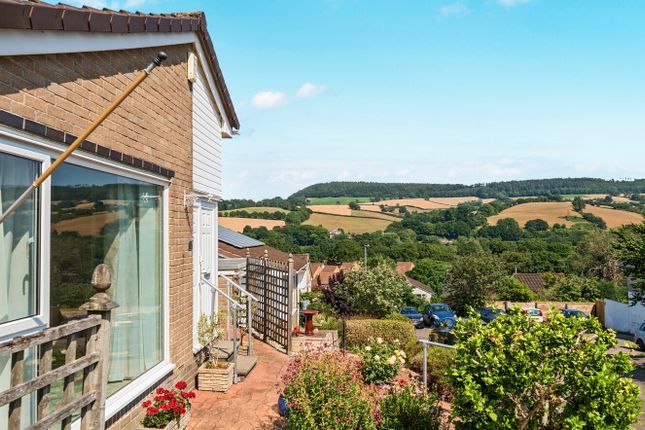 5, Glebelands, Sidmouth photo 3