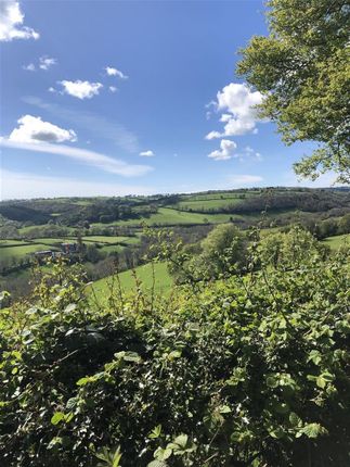 Gellifaharen, Llandysul photo 2