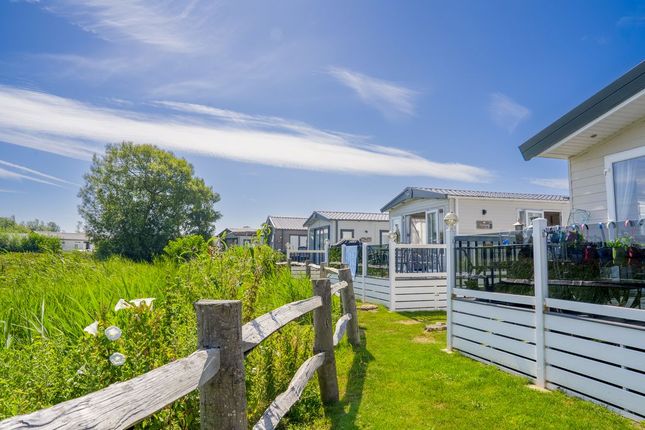Winchelsea Sands Holiday Park, Winchelsea photo 2