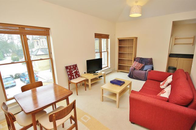 7 The Elms, Thicket Road, Houghton photo 4