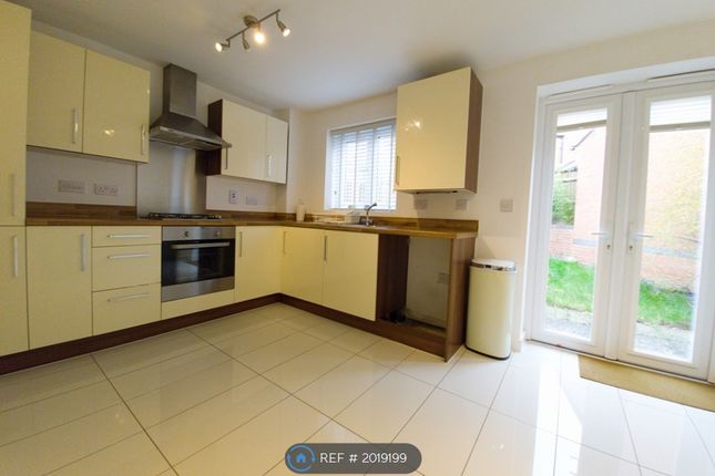 Semi-detached house to rent in Helsinki Drive, Hinckley