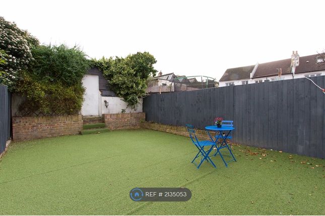 Back Garden