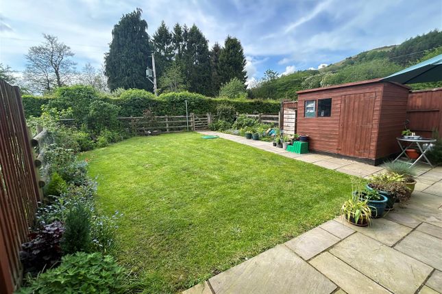 Garden.Jpg