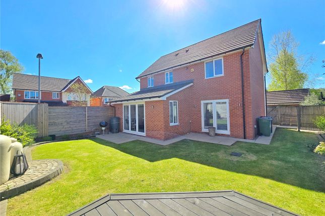 Rear Gardens