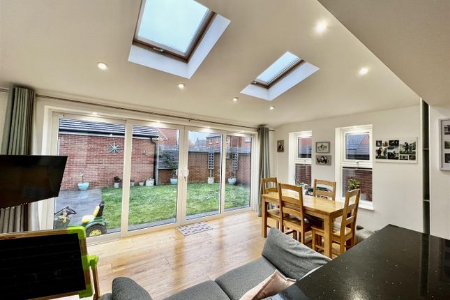 Extended Family Room