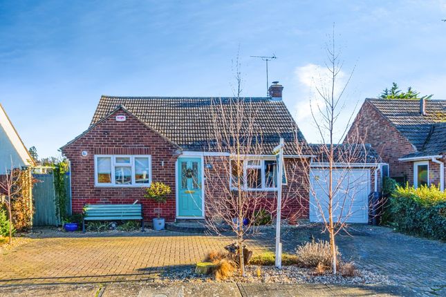 Thumbnail Detached bungalow for sale in Shelley Road, Colchester