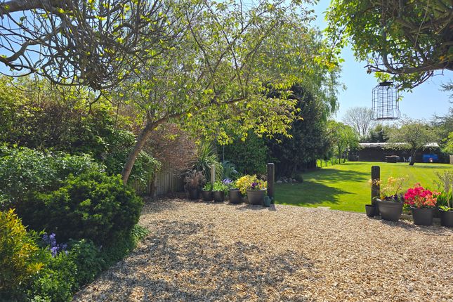 Rc Garden 2
