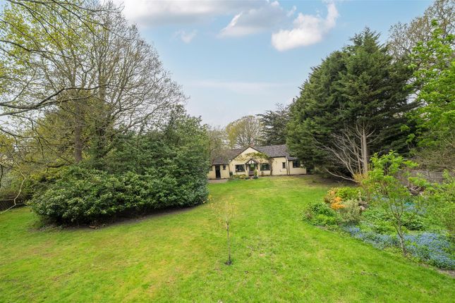 Ashcroft, Maidenhead Road, Wokingham photo 2