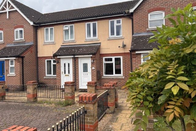 Thumbnail Terraced house to rent in Titus Way, Colchester