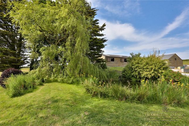 Detached house for sale in High Bickington, Umberleigh, Devon