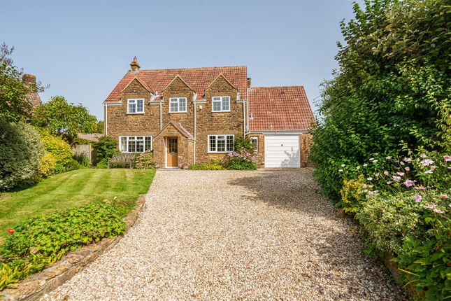 Thumbnail Detached house for sale in Pine Close, Corscombe, Dorchester