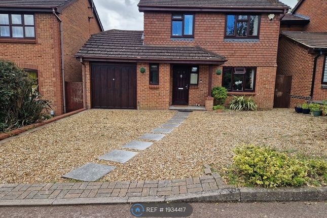 Thumbnail Detached house to rent in Fleetham Gardens, Lower Earley, Reading