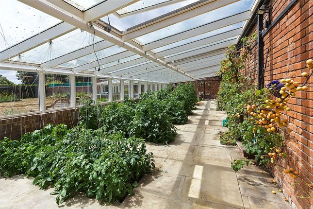 Green House