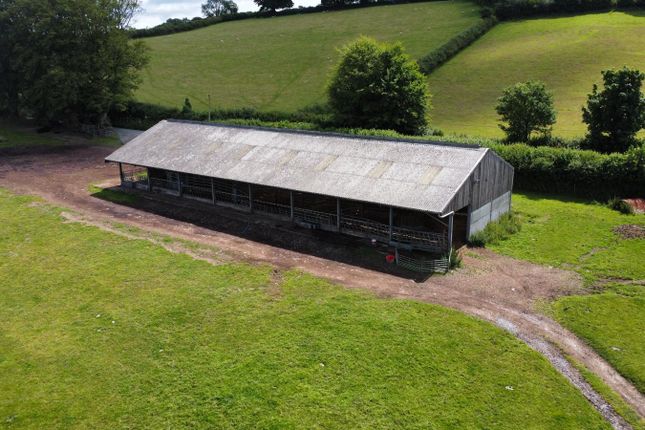 Cattle Shed