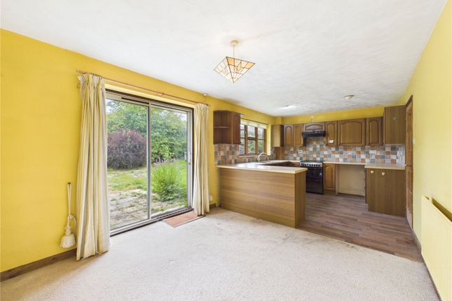 Hobsons,, High Bullen, Devon photo 3