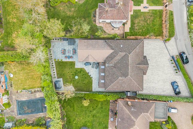 Aerial Shot