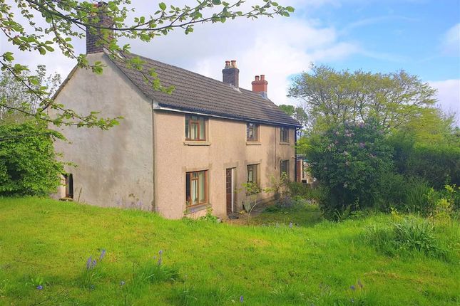 Providence Hill Narberth Pembrokeshire Sa67 3 Bedroom Cottage
