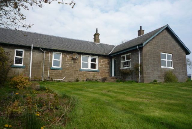 Thumbnail Detached house to rent in Dronley Road, Muirhead, Angus