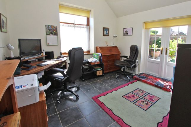 Picture 8