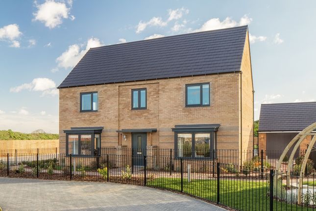 Thumbnail Detached house for sale in "Henley" at Vole Close, Northstowe, Cambridge